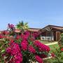 Горящие туры в отель Sedir Park Bungalow Hotel - 1