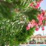 Горящие туры в отель West House Exclusive Hotel - 1