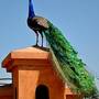 Горящие туры в отель Riad Al Mendili Kasbah Private Resort & Spa - 6