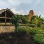 Горящие туры в отель Cap Karoso Sumba - 6