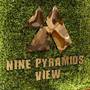 Горящие туры в отель Nine Pyramids View Hotel - 2
