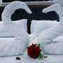Горящие туры в отель Olivia Hotel - 1