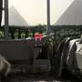Горящие туры в отель Pharaoh Pyramids View Inn - 2