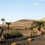 Горящие туры в отель Paradisus by Melia Fuerteventura - 2