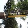 Горящие туры в отель Forest Yard - 2