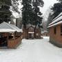 Горящие туры в отель Forest Yard - 1