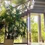 Горящие туры в отель Villa Smeralda - 6