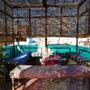 Горящие туры в отель Dahab Hostel - 2