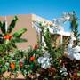 Горящие туры в отель Oasis Blu Beach Resort - 2