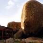 Горящие туры в отель Seronera Wildlife Lodge - 5