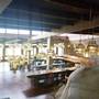 Горящие туры в отель Seronera Wildlife Lodge - 4