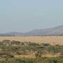 Горящие туры в отель Seronera Wildlife Lodge - 6