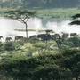 Горящие туры в отель Seronera Wildlife Lodge - 3