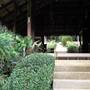 Горящие туры в отель Ao Nang Premier Resort - 4