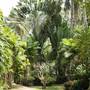 Горящие туры в отель Ao Nang Premier Resort - 6