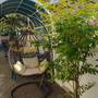 Горящие туры в отель Hotel Apartment Ureki - 5