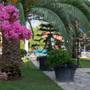 Горящие туры в отель Holiday Calbis Hotel - 6