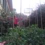 Горящие туры в отель Caretta Caretta Hotel - 5