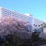 Горящие туры в отель Grand Prince Hotel Shin Takanawa - 2