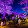 Горящие туры в отель Grand Prince Hotel Shin Takanawa - 5