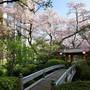 Горящие туры в отель Grand Prince Hotel Shin Takanawa - 3