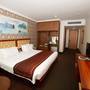Горящие туры в отель Magnificent International Hotel - 5